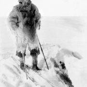 Roald Amundsen