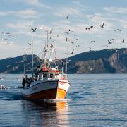 En fiskebåt på vei mot land i Bremanger, ytterst i Nordfjord. 
